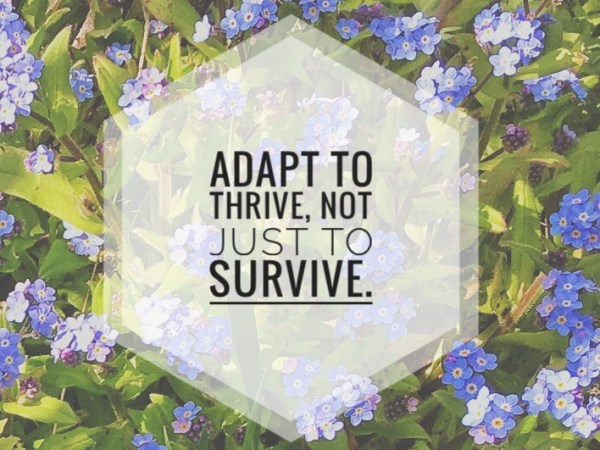 A Flat of One&nbsp;Bedroom