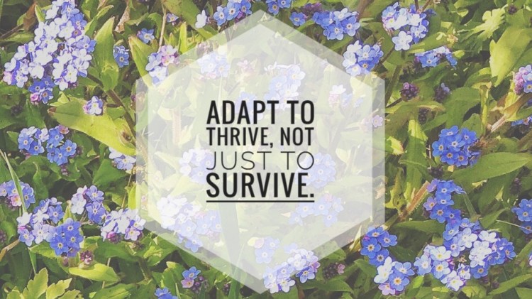 A background of blue forget-me-nots with the words “adapt to thrive, not just to survive.”