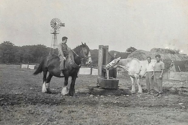 Black & white photo. Two shire horses, a black one and a grey one, standing around a well in a field, on a farm, with four people. The black one has one of the people sitting on it and the grey is drinking from the well.