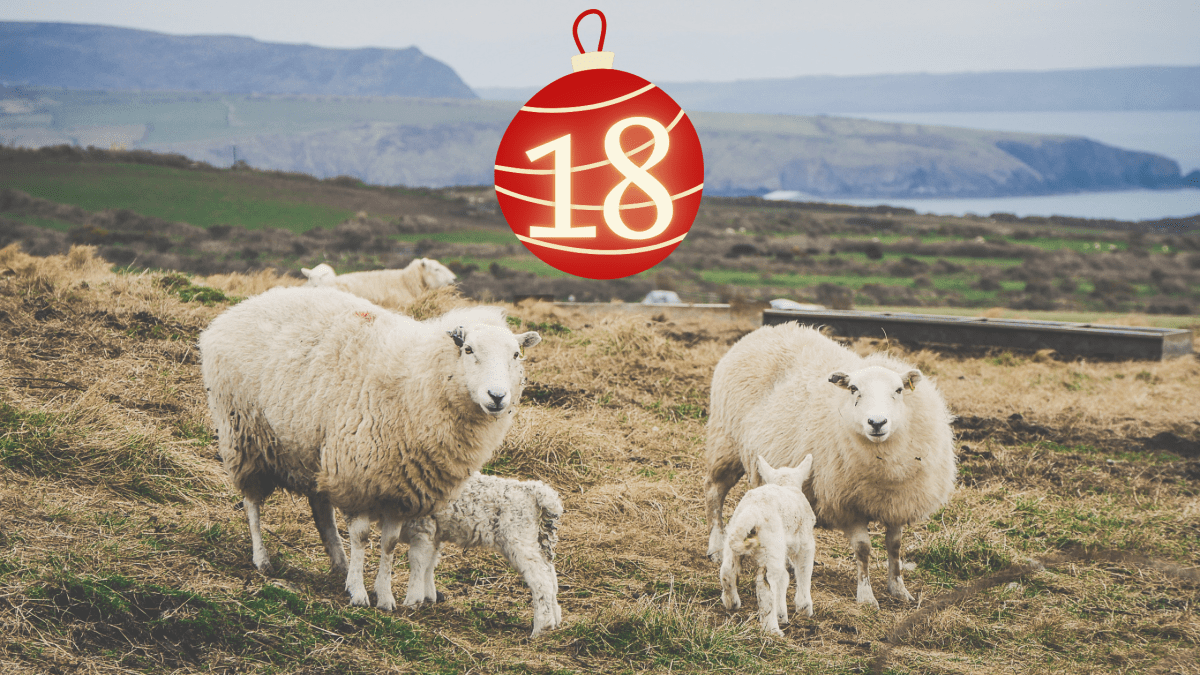 S for Seasonal Breeders One Girl & Her Cows