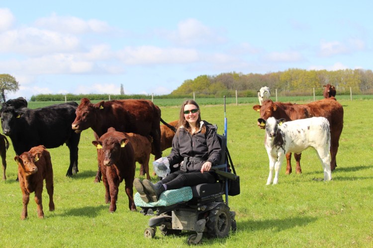 Holly, a white woman with long brown hair, wearing a black coat, black leggings and dark green glasses, sits in her powered wheelchair with the legs elevated in a grass field with cows and calves stood behind her.